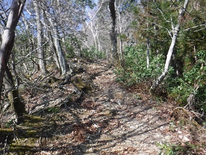 DSCF0088.JPG