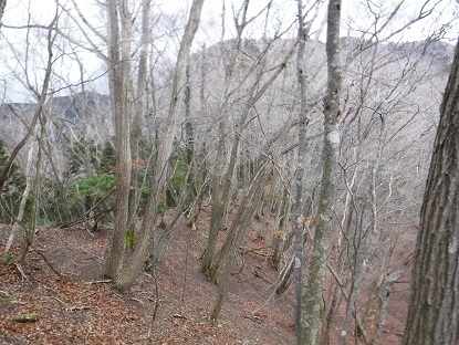 DSCF0088.JPG