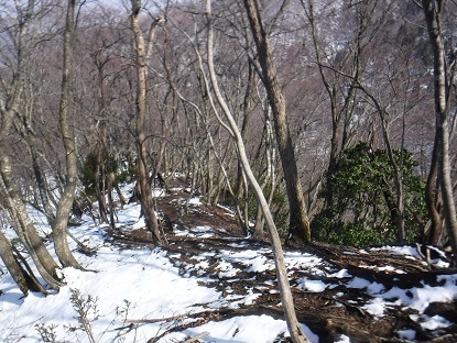 DSCF0091.JPG