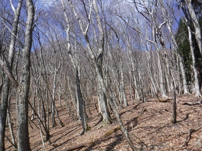 DSCF0092.JPG