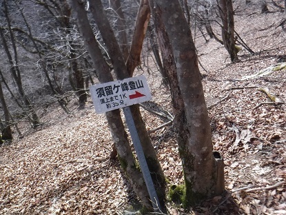 DSCF0094.JPG