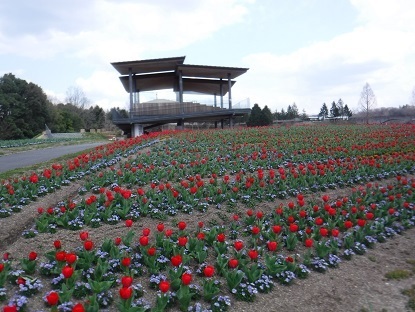 DSCF0094.JPG