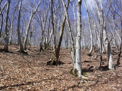 DSCF0096.JPG