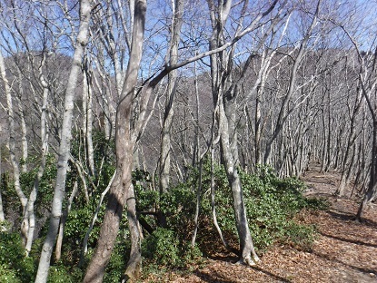 DSCF0101.JPG