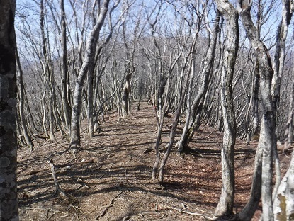DSCF0110.JPG