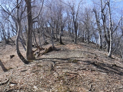 DSCF0112.JPG