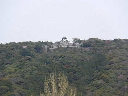 DSCF0113.JPG