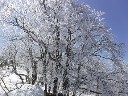 DSCF0120.JPG