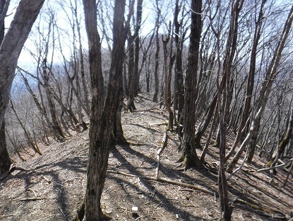 DSCF0122.JPG