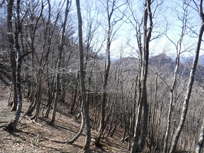 DSCF0124.JPG