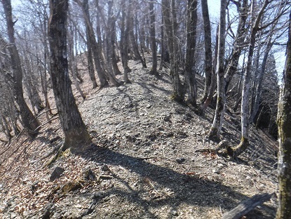 DSCF0125.JPG