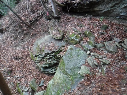 DSCF0128.JPG