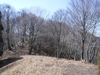 DSCF0130.JPG