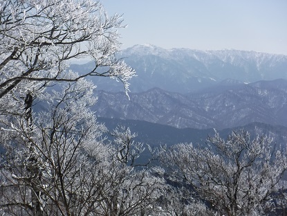 DSCF0135-1.jpg