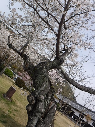 DSCF0141.JPG