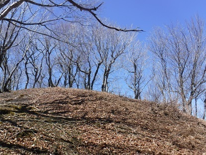 DSCF0143.JPG