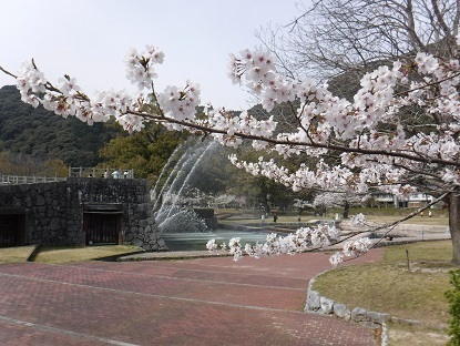 DSCF0144.JPG