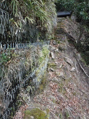 DSCF0144.JPG