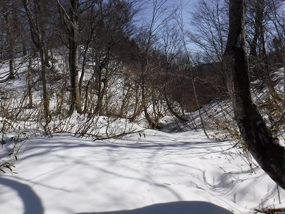 DSCF0152.JPG