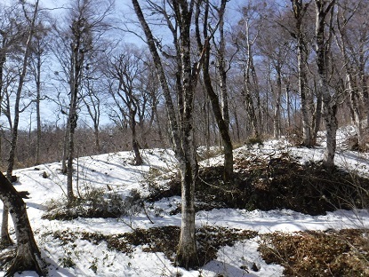 DSCF0157.JPG