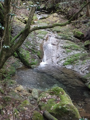 DSCF0158.JPG