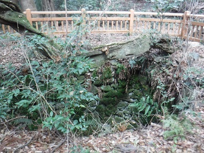 DSCF0161.JPG