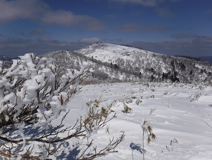 DSCF0175.JPG