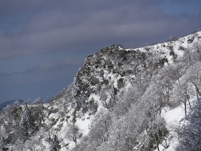 DSCF0183.JPG