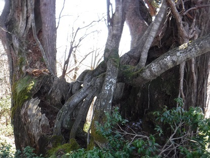 DSCF0189.JPG