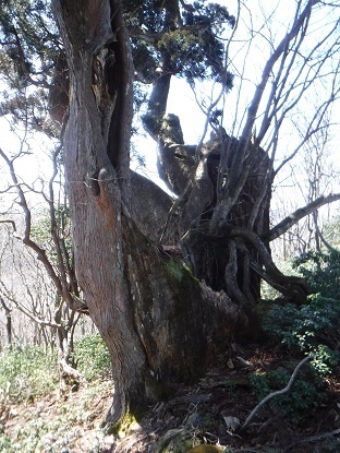 DSCF0190.JPG