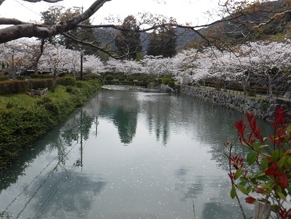 DSCF0194.JPG