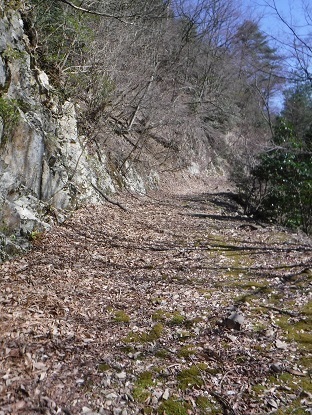 DSCF0209.JPG