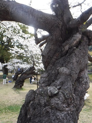 DSCF0209.JPG