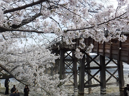 DSCF0211.JPG