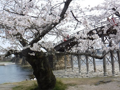 DSCF0221.JPG