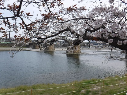 DSCF0223.JPG