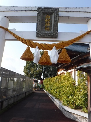 DSCF0227.JPG