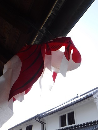 DSCF0250.JPG