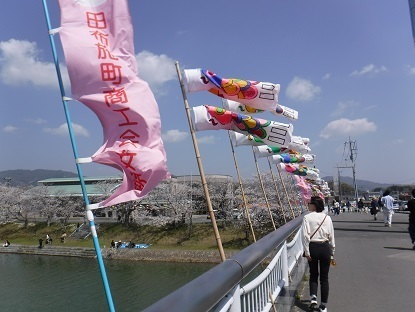 DSCF0264.JPG