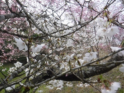 DSCF0372.JPG