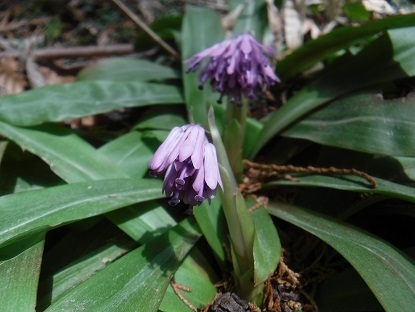 DSCF0396.JPG