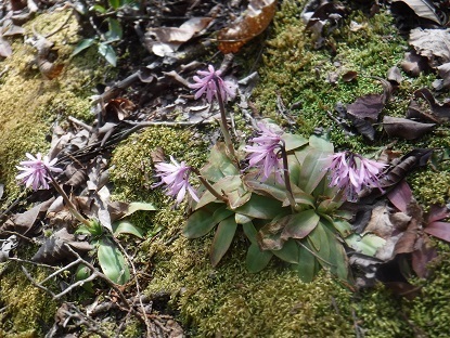 DSCF0416.JPG