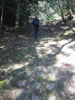 DSCF0491.JPG