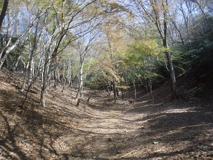 DSCF0496.JPG