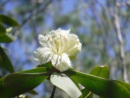 DSCF0501.JPG