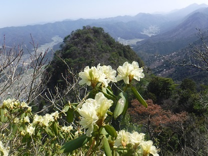 DSCF0515.JPG