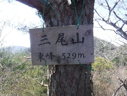 DSCF0521.JPG