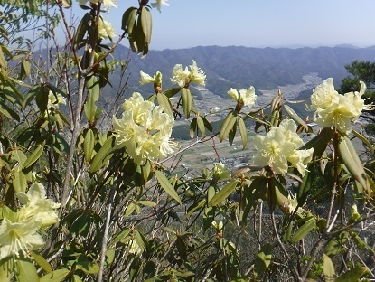 DSCF0526.JPG