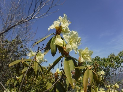 DSCF0530.JPG