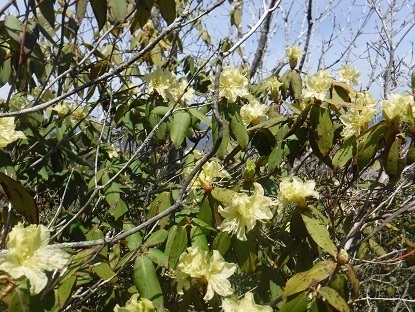 DSCF0541.JPG